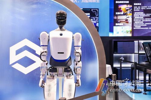 機器人生活秀 數(shù)量超60款，數(shù)貿(mào)會展現(xiàn)科技專業(yè)新圖景