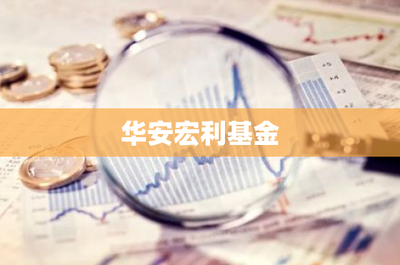 華安宏利基金投資管理 穩健策略與長期價值的踐行者