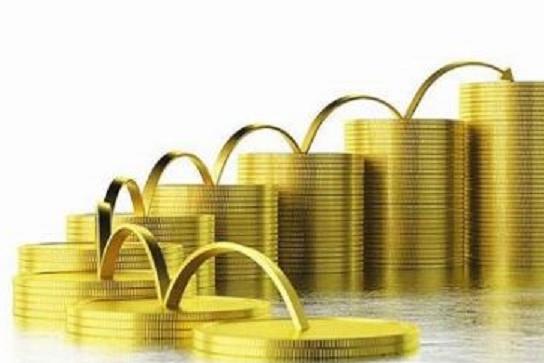 飛不起來的豬 穩(wěn)健與理性的投資管理之道